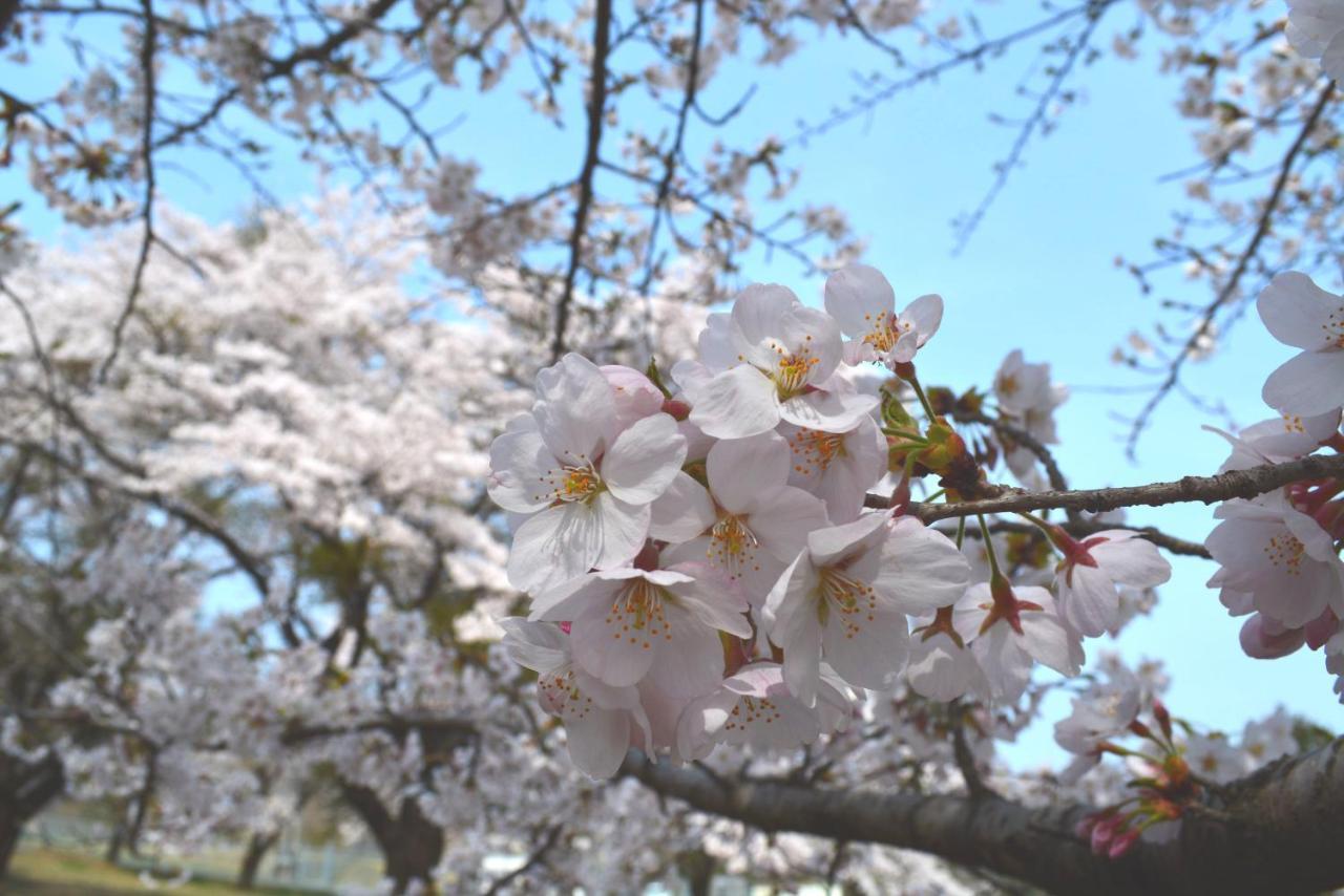 Готель Fukuichi Shibukawa Екстер'єр фото